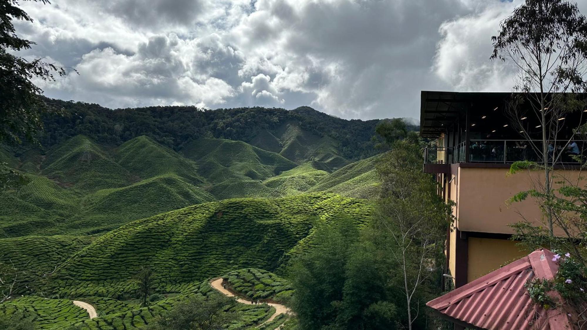 Sweet Homestay 3Rm @ Penthouse Apartment In Brinchang Exteriör bild